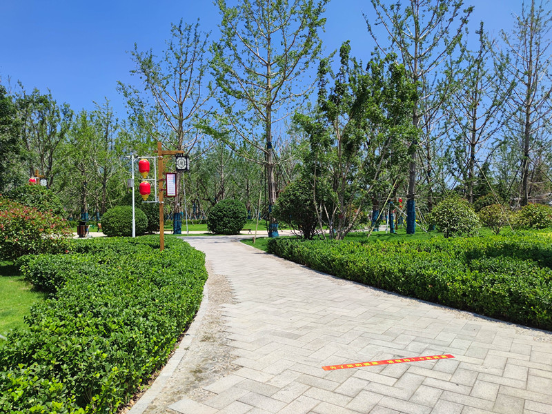 鋼結構立體車庫 鋼結構立體車庫